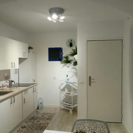 Delia 科斯塔卡莱塔