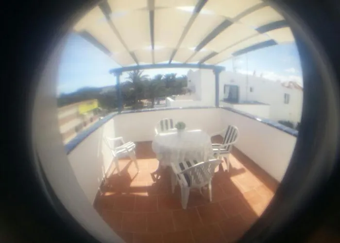 Delia 칼레타데푸스테